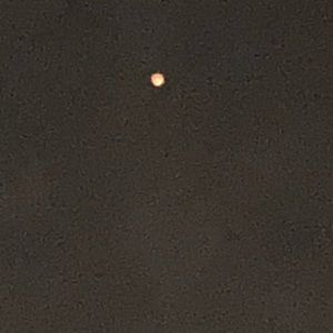 Meet your Posher, Beatriz